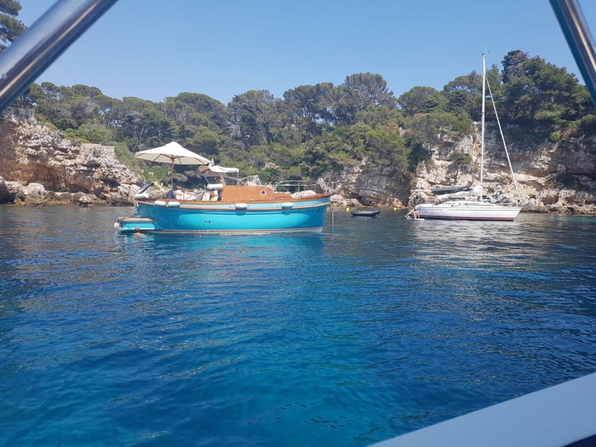Апартаменты Een Parel Aan De Cote 'D Azur ! Валлорис Экстерьер фото
